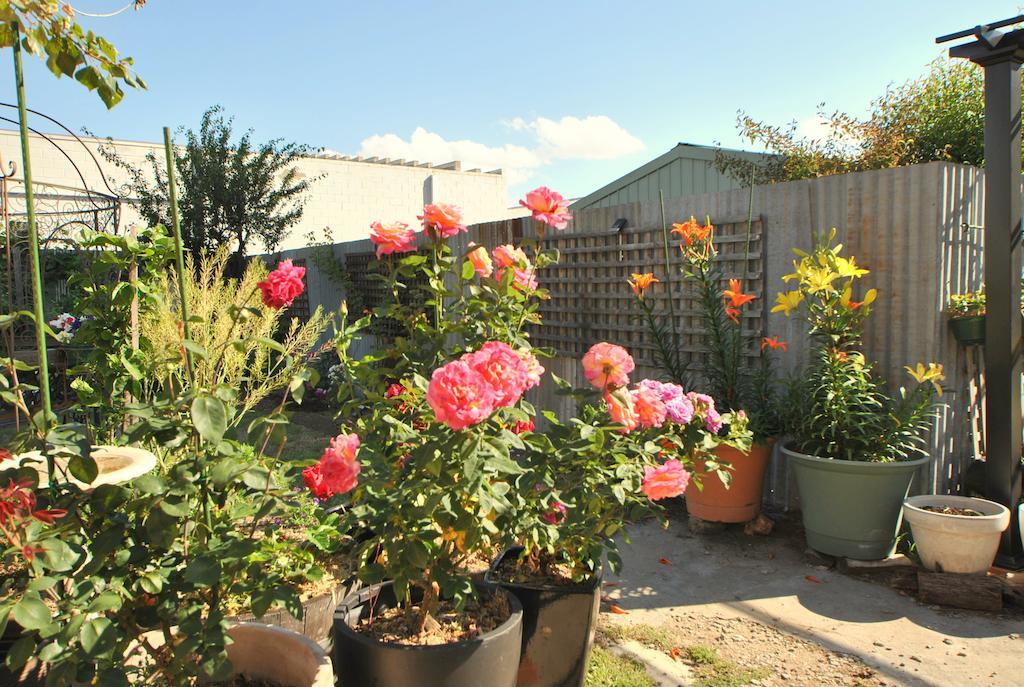 Cooma Cottage Экстерьер фото